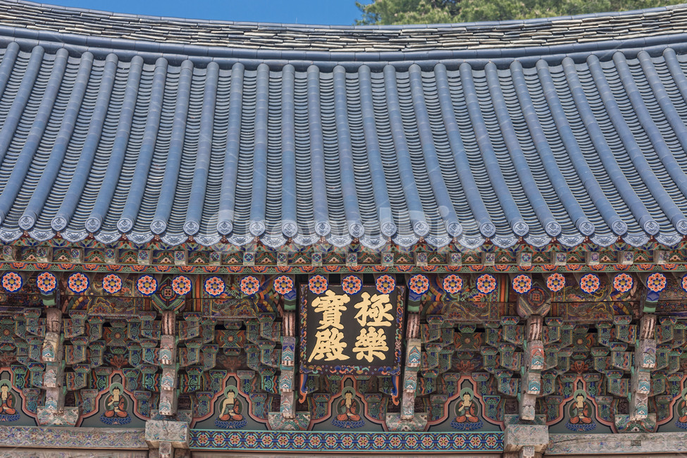 신륵사,기와,선,단청,문양,무늬,문화유산,한국전통,한국문화,korean traditional,korean culture,종교,신앙,religion,belief,faith,건축물,건물외관,exterior,building,structure,architecture,construction