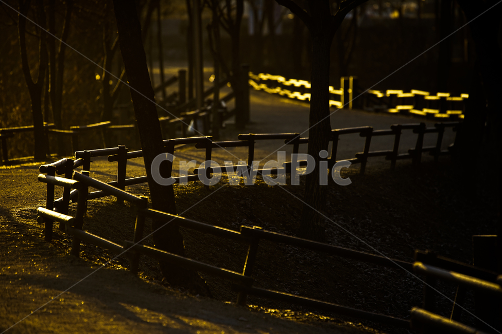 길,로드,공원길,오솔길,가이드,라인,빛,흙길,공원,자연,풍경,nature,landscape,handrail,난간,banister,railing