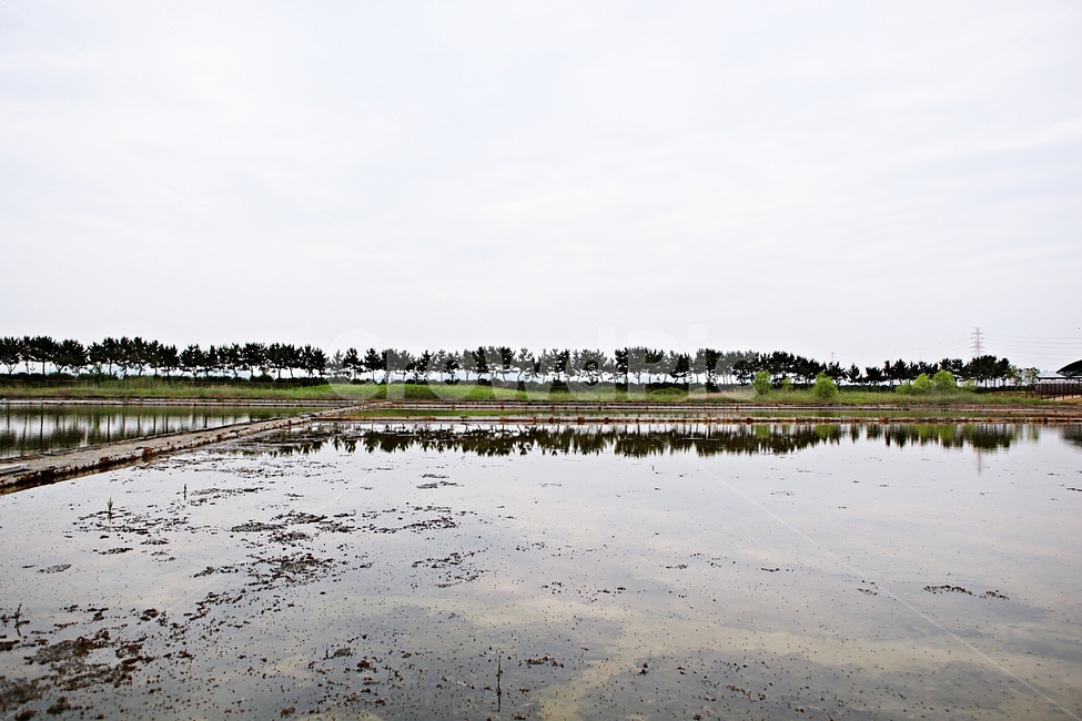 sea water,saltern,nature,salt field,sight,Sorae Ecological Park