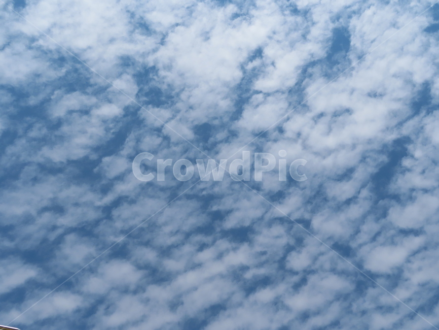 구름,하늘,자연,흰색,파랑색,아름다움,풍경,cloud,sky,white,blue,beauty,nature,scenery