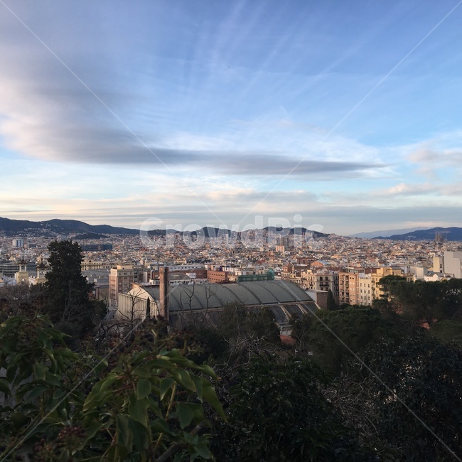 하늘,경치,풍경,조감도,지붕