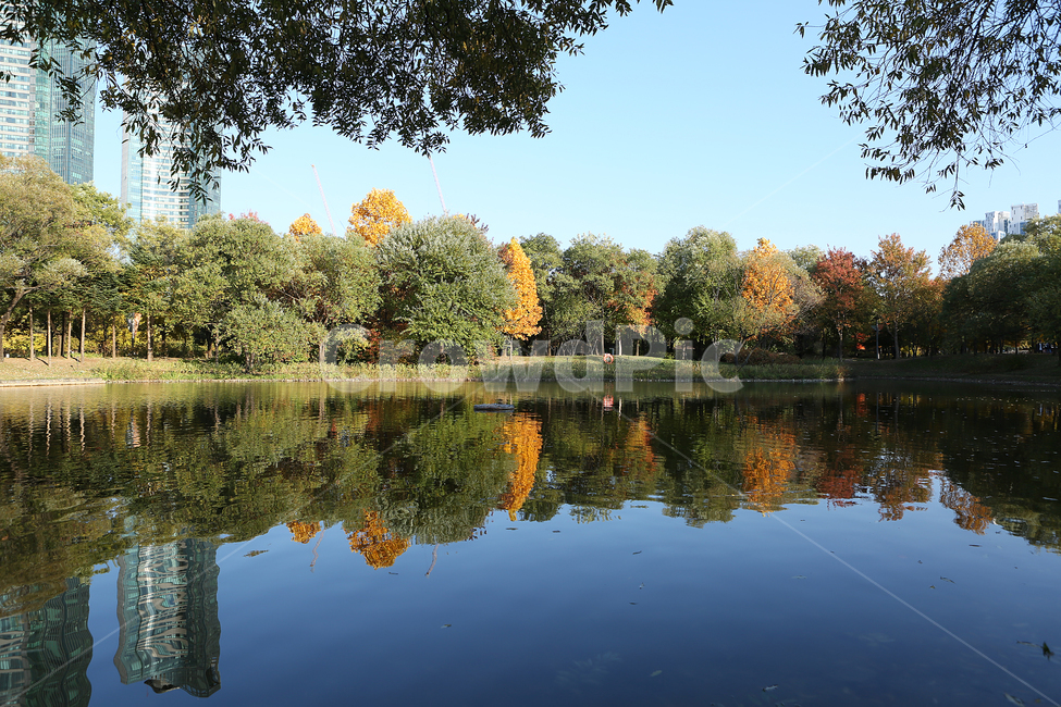 가을,서울숲공원,호수,반영,나무,fall,park,lake,reflection,tree,가을,계절,fall,autumn,season,자연,풍경,nature,landscape,water,물,outdoors,옥외,pond,못