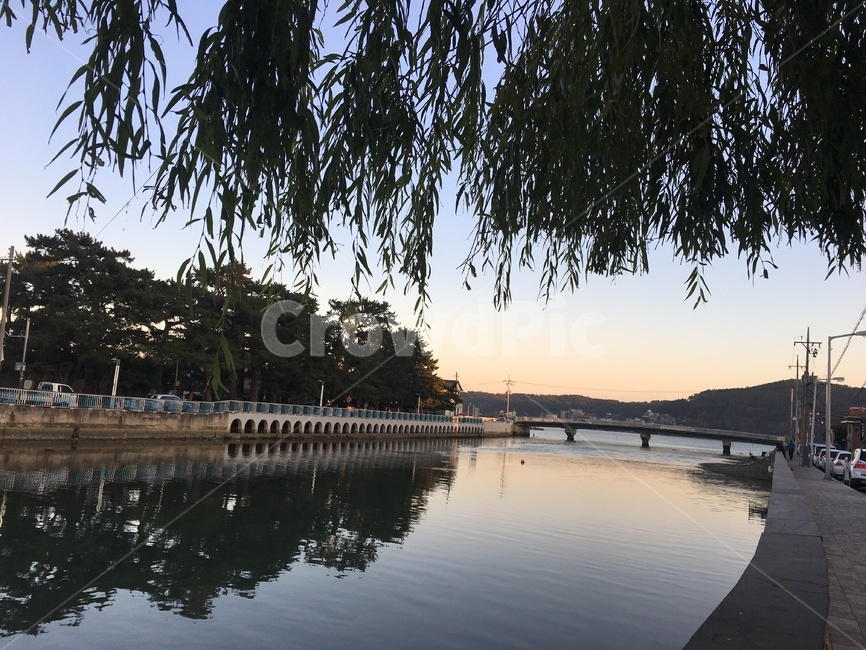 자연,풍경,노을,일몰,강,가로수,river,sunset,계절,여름
