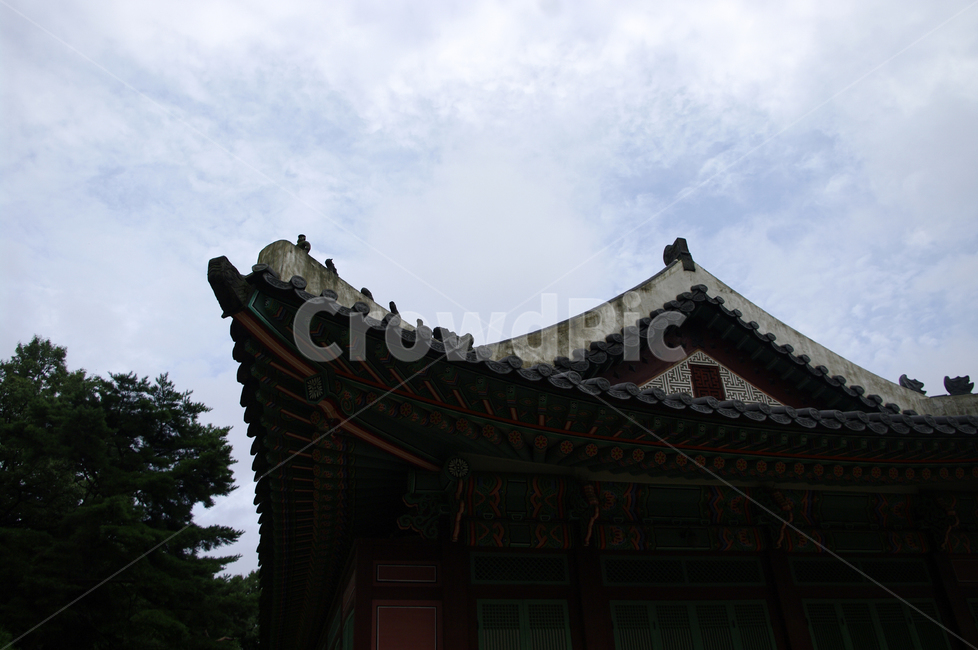 창덕궁,고궁,전각,한옥,전통가옥,기와지붕,건축,traditional,한국전통,한국문화,korean traditional,korean culture,건축물,건물외관,exterior,building,structure,architecture,construction