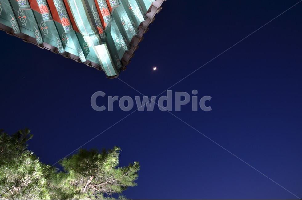 경주,금장대,야경,달,소나무,야경,밤,풍경,nightscape,night,landscape,한국전통,한국문화,korean traditional,korean culture,건축물,건물외관,exterior,building,structure,architecture,construction