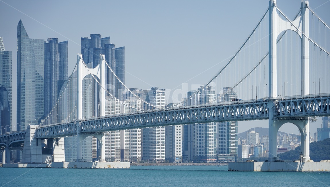 광안리,광안대교,부산,부산갈매기,광안리해수욕장,랜드마크,landmark,tourist attraction,한국랜드마크,한국관광지,한국명소,korea landmark,korea tourist attraction,건축물,건물외관,exterior,building,structure,architecture,construction