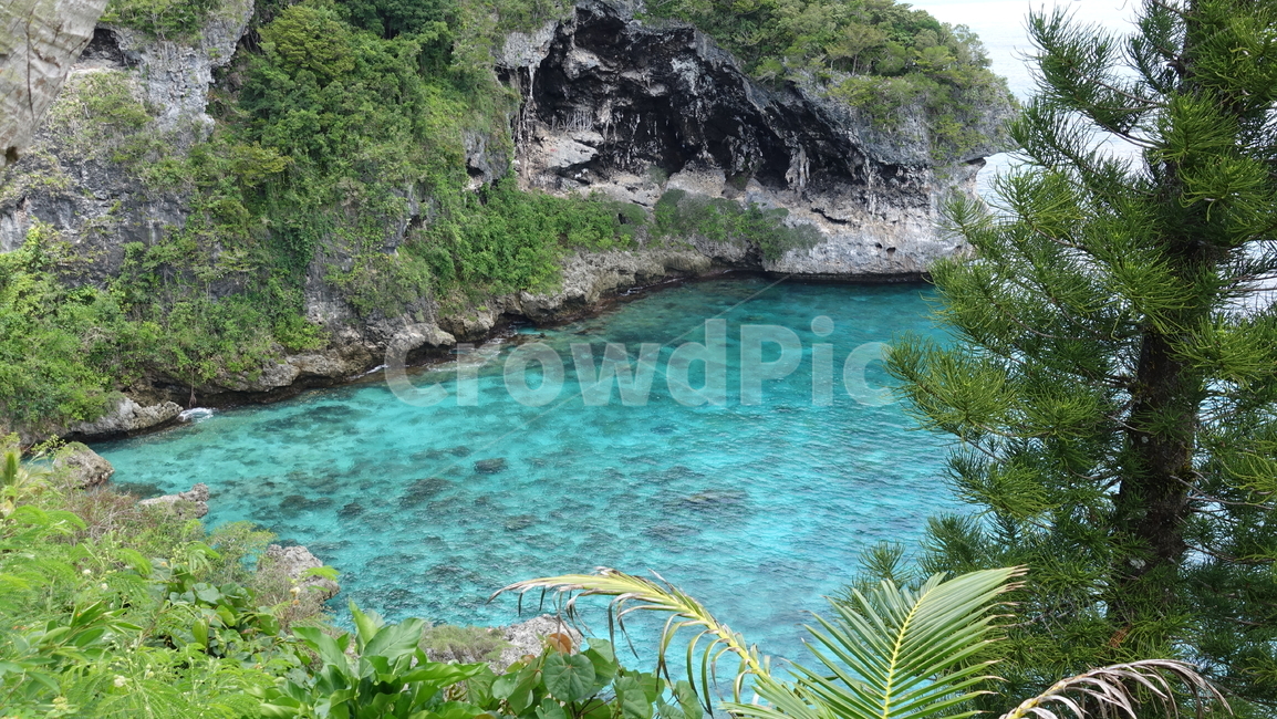 green,초록,nature,plant,식물,자연,sea,ocean,바다,수평선,horizon,에메랄드빛,수풀,summer,여름,휴가,vacation,휴양지,태평양,남태평양,리푸,뉴칼레도니아
