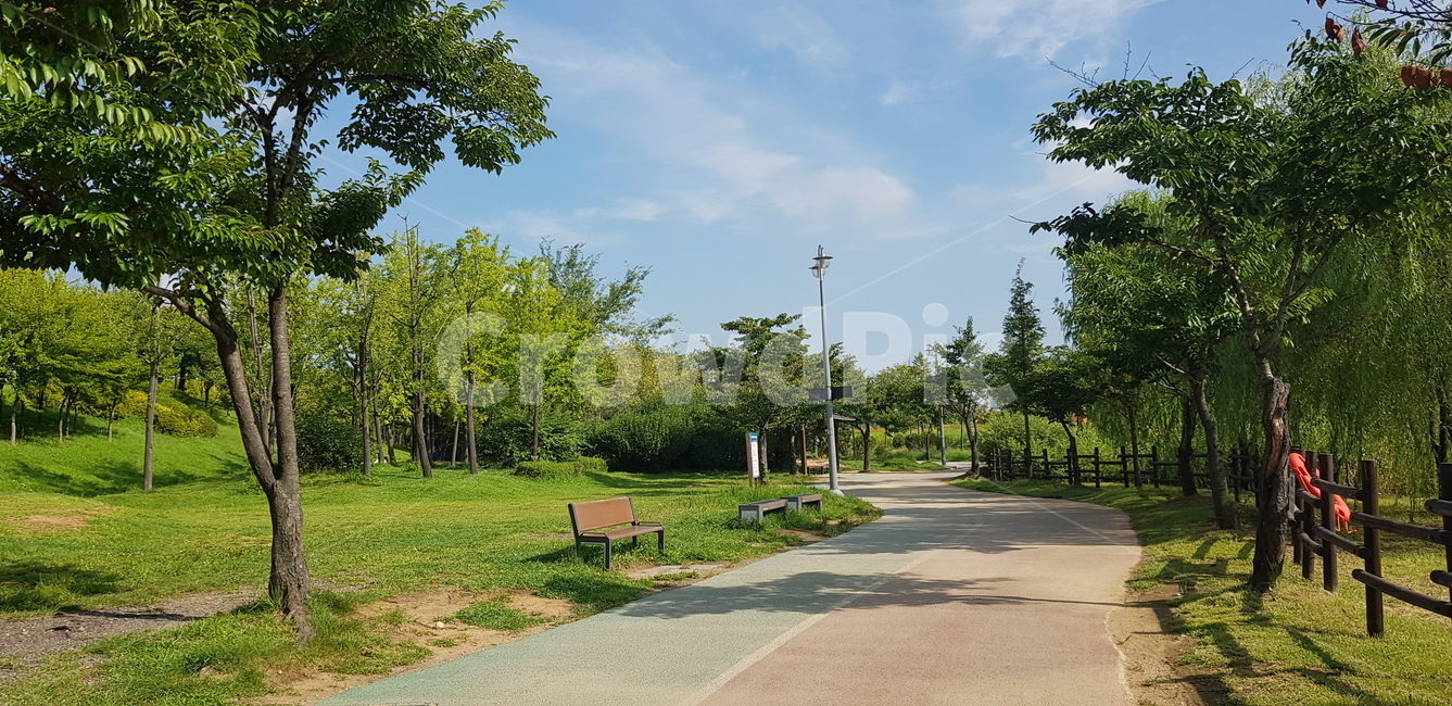 나무,공원,하늘,구름날씨,흙길,흙,길,잔디,풀,공원길,도로,road