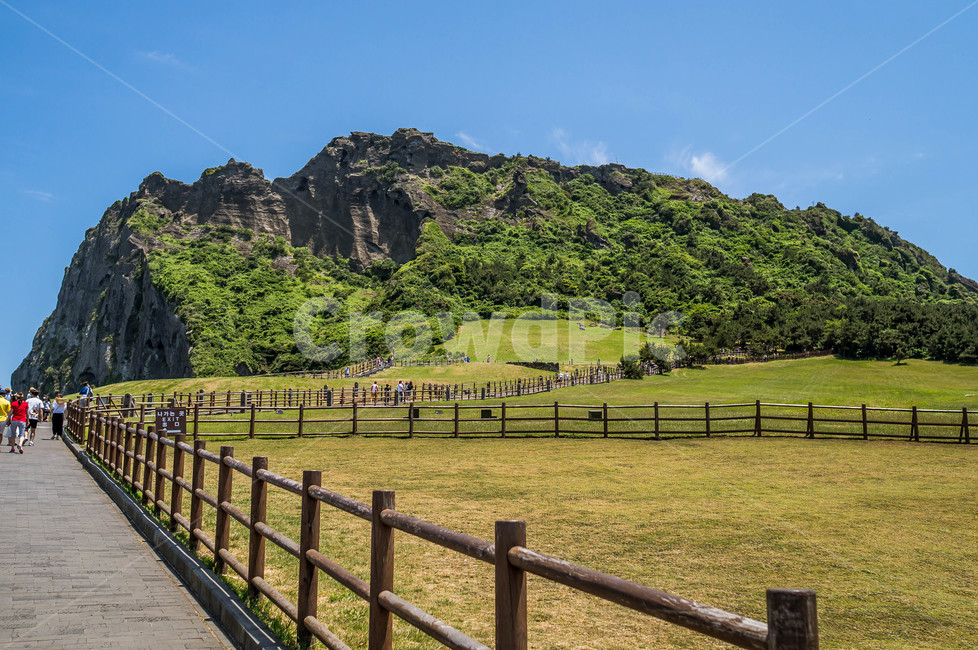 제주도,성산일출봉,여름,풍경,제주,자연,풍경,nature,landscape,한국자연풍경,한국자연경관,korea nature landscape,outdoors,옥외,field,들,grassland,목초지,human,인간,person,사람