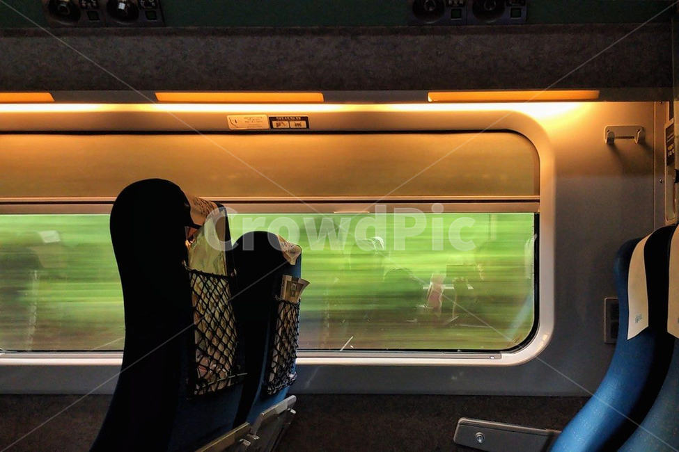 여름,summer,ktx,기차,케이티엑스,train,창문,window,green,초록,초록색,leaves,leaf,잎,여행,travel,trip,교통,교통수단,traffic,transportation