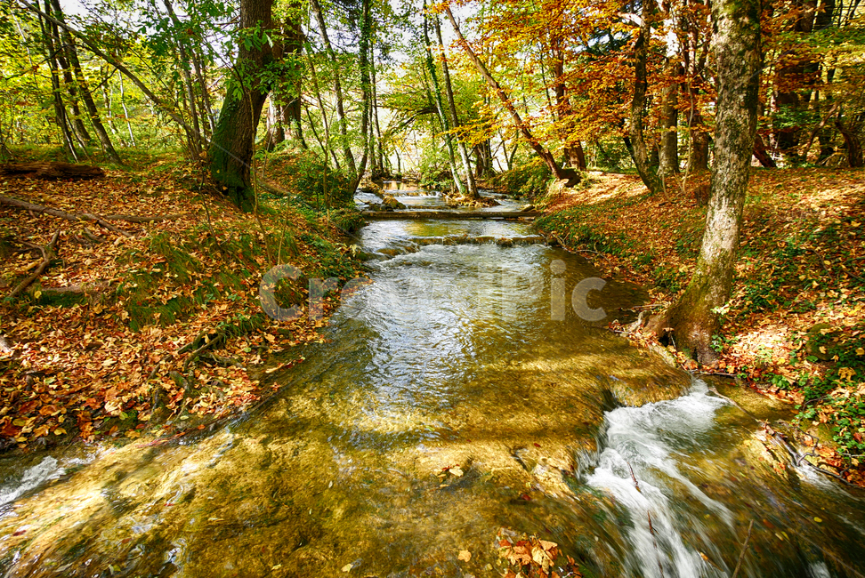 유럽,크로아티아,플리트비체국립공원,자연,풍경,관광지,가을,낙엽,물,water,nature,outdoors,흐름,해외자연풍경,나무