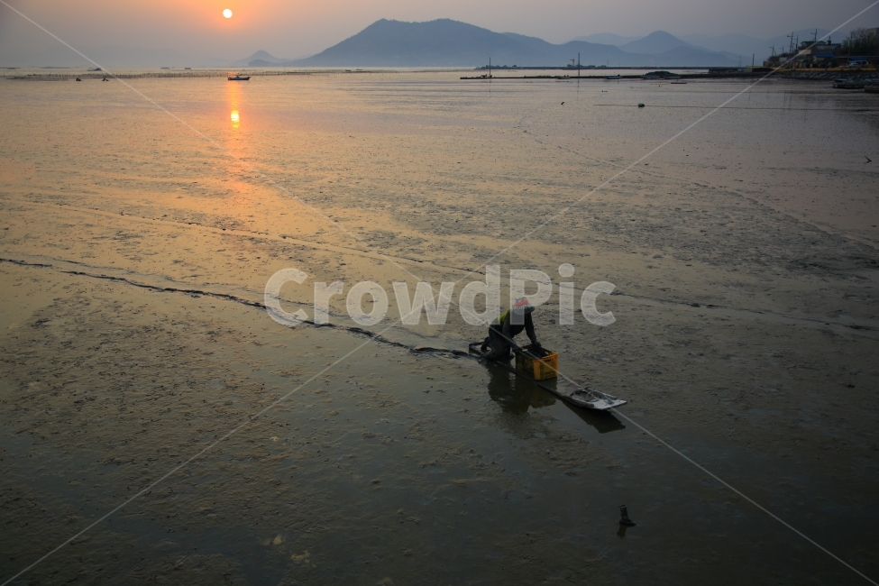 순천와온해변,바닷가,일몰,자연풍경,석양,사람,인물,인간,human,person,산업,industry,industrial,어업,fishery,fishing industry
