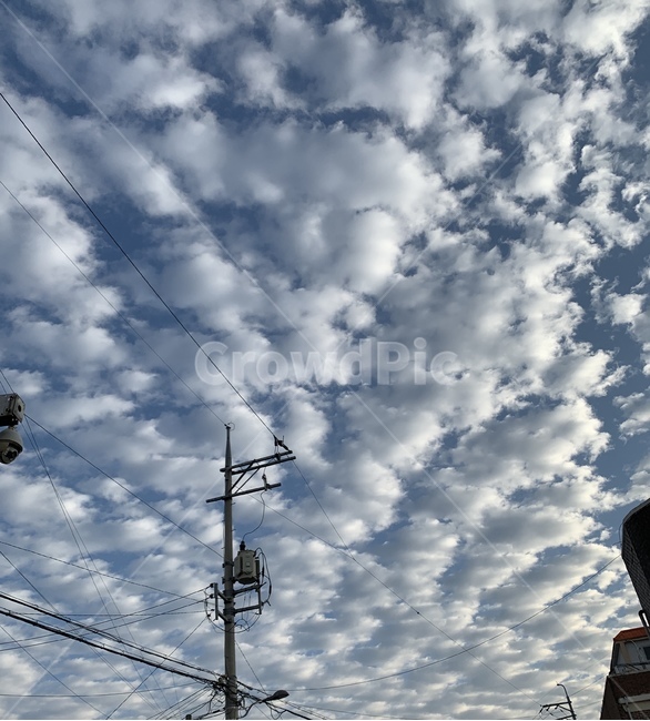 하늘,구름,여름하늘,cloud,파란색,하늘색