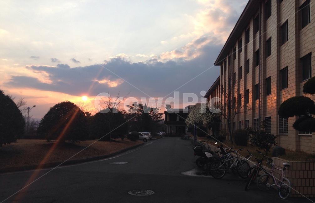 sunset,노을,scenery,landscape,풍경,자연,nature,색깔,색상,색채,색감,colorsense,colorsensitivity,feelingofcolor,bike,bicycle,자전거,light,빛