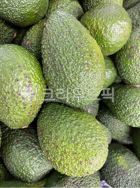 아보카도,avocado,녹색,식품,신선한,건강한,자연,식물,야채,food,음식,fruit,과일