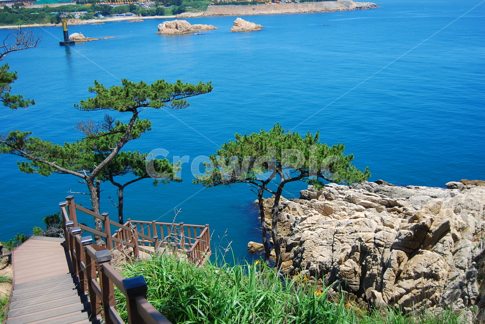 자연,바다,여름,풍경,대왕암,자연,풍경,nature,landscape,한국자연풍경,한국자연경관,korea nature landscape,식물,plants,나무,trees,wood,land,땅,outdoors,옥외