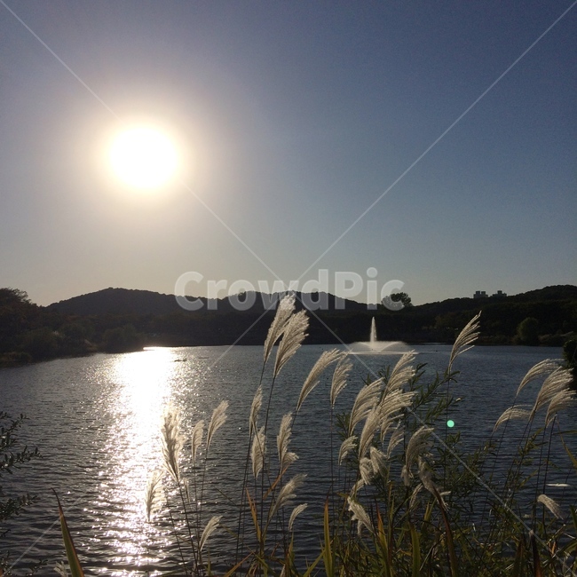 공원,호수,분수,가을산책,산,자연,풍경,nature,landscape,grass,잔디,plant,식물,lawn