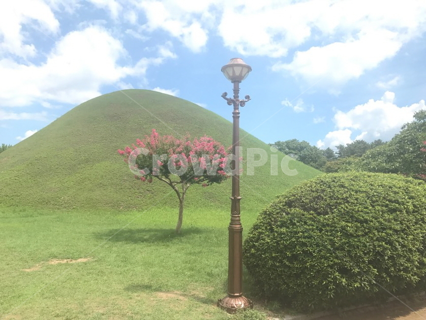 목초지,grassland,field,무덤,가로등