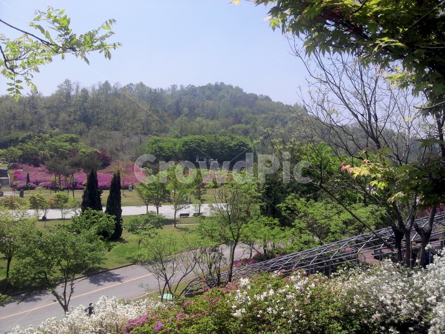 익산,서동공원,익산봄,봄,풍경