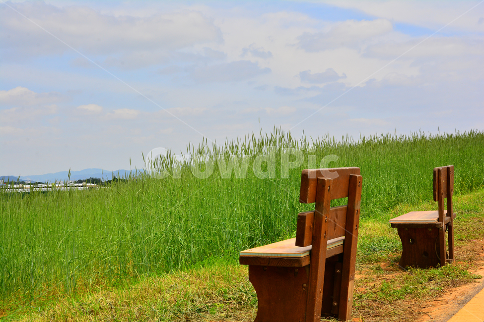 의자,빈의자,빈자리,힐링,쉼터,초원,전원,풀밭,healing,chair,생각,야외,하늘,구름,맑은날,낭만,빨간의자,빨강색,레드,red,sky,배경,바탕,백그라운드,background,분위기,밀밭,호밀밭,휴식,힐링,rest,relaxation,healing,사물,물건,오브젝트,thing,object,matter