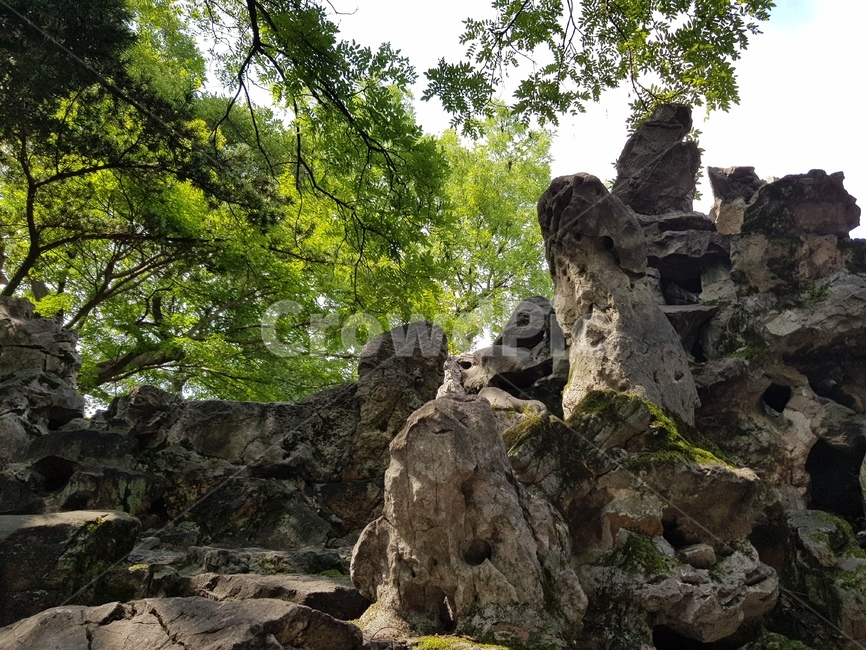 중국,china,돌,rock,나무,바위,tree,자연,nature