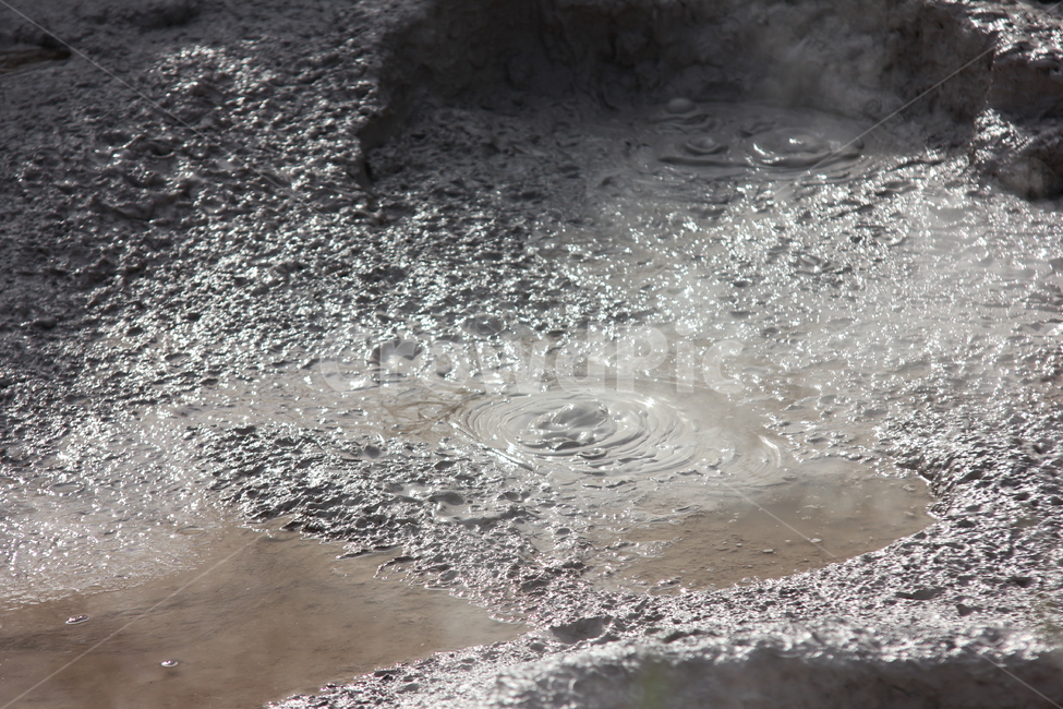 진흙,mud,로토루아,테푸이아,휴화산,자연,풍경,nature,landscape