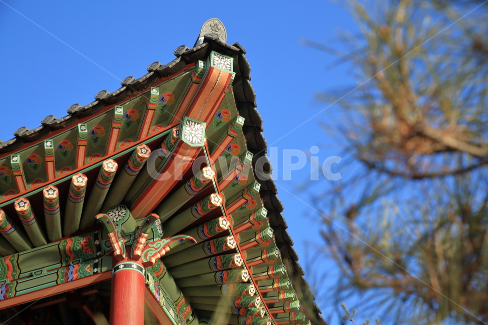 building,architecture,temple,신전,shrine,신사,worship,예배,한국,건축,한국전통,정자,풍경,건물,임경대,건축물,역사,한국전통건물,하늘,나무,한국건축,목조건물,한국풍경,강,강물,소나무