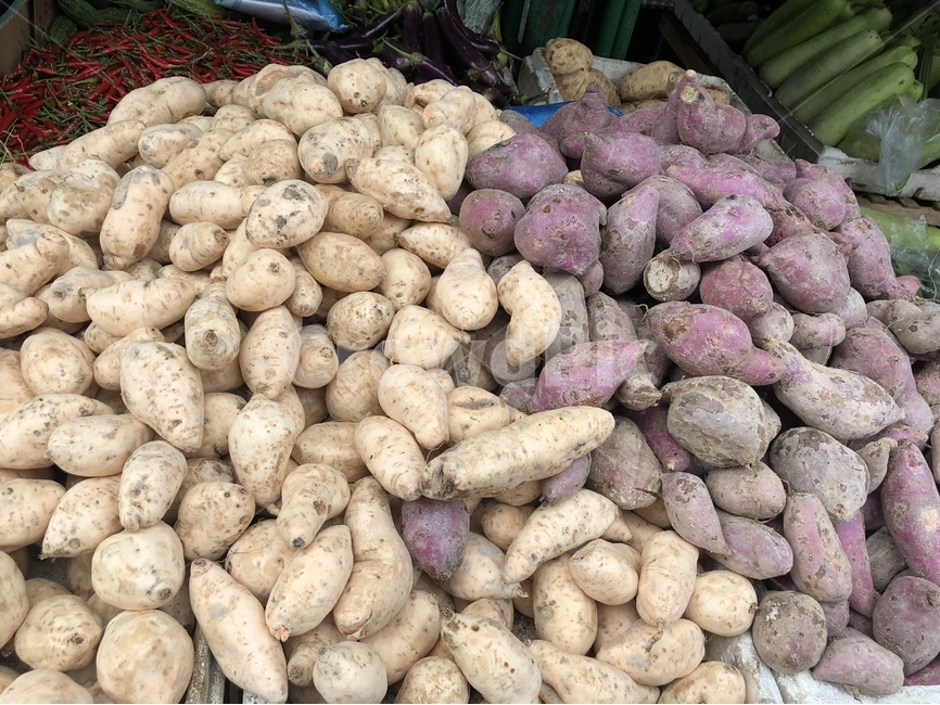 고구마,필리핀고구마,시장,채소,야채,plant,vegetable,sweetpotato