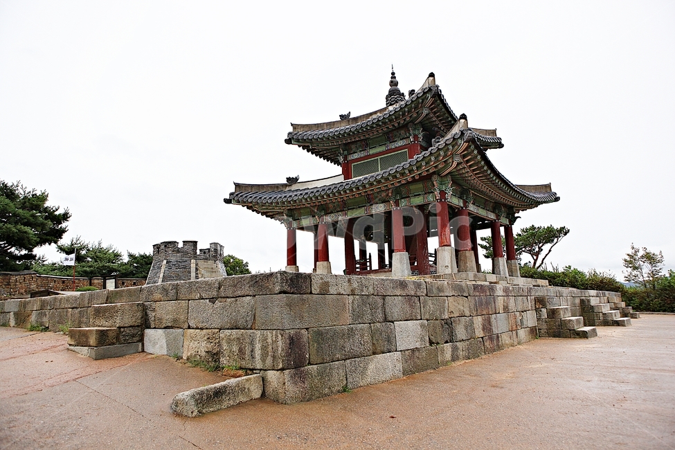 수원화성,성,성곽,길,둘레길,담,돌담,가을,자연,풍경,벽,방어벽,전통,흙담,식물,한국전통,한국문화,korean traditional,korean culture,건축물,건물외관,exterior,building,structure,architecture,construction