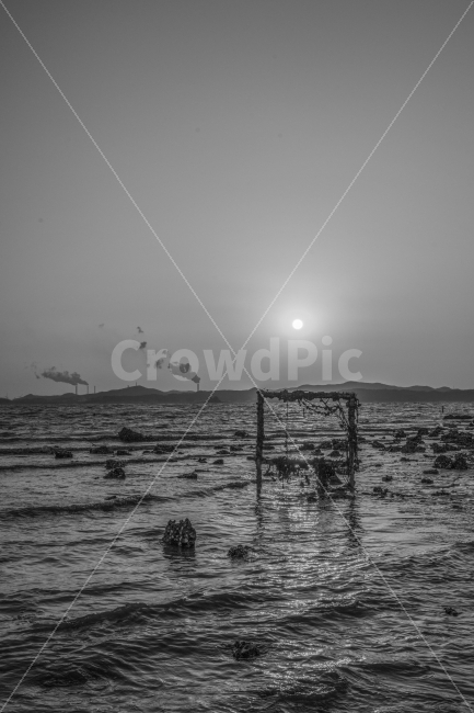 일몰,저녁,노을,바다,대부도,풍경,자연,풍경,nature,landscape,해변,바다,beach,sea,흑백,모노톤,monochrome,black and white,light,빛,flare,플레어
