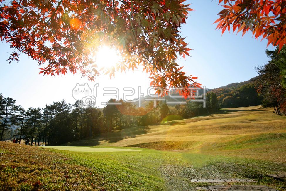 골프장,푸른하늘,풍경,잔디,파란잔디,골프클럽,구름,산능선,하늘,스포츠,golfcourses,blueskies,landscapes,grass,bluegrass,golfclubs,clouds,mountainridges,sky,sports,가을,단풍,field