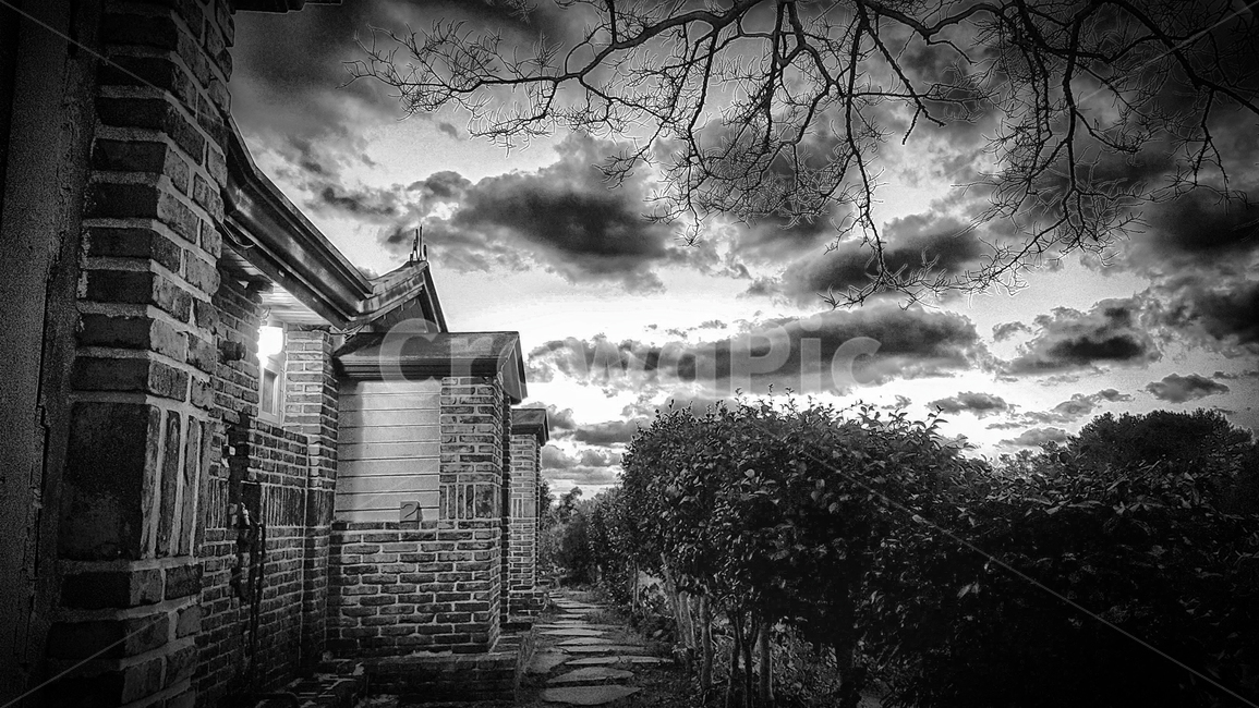벽돌,outdoors,옥외,nature,자연,brick,정원,풍경,흑백,모노톤,monochrome,black and white