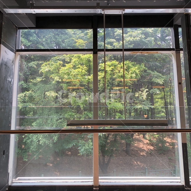 카페,창문,자연,나무,흙,감성