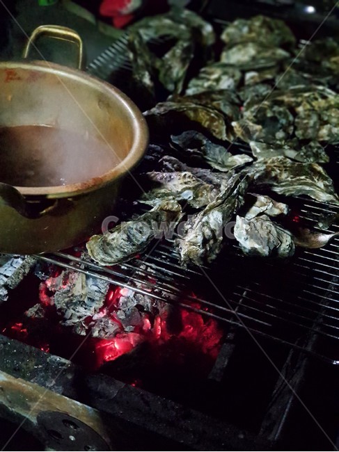 굴,석회,oyster,오이스터,그릴,숯,야외,저녁,dinner