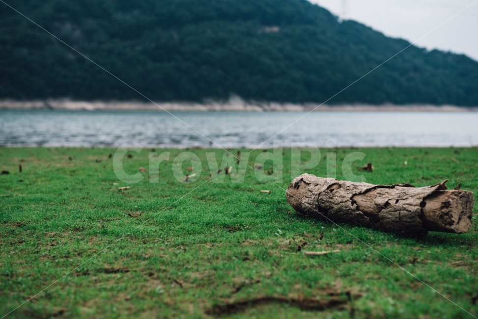 감성사진,스냅사진,폰배경,배너,초록,자연,풍경,nature,landscape,감성,sensible,feeling