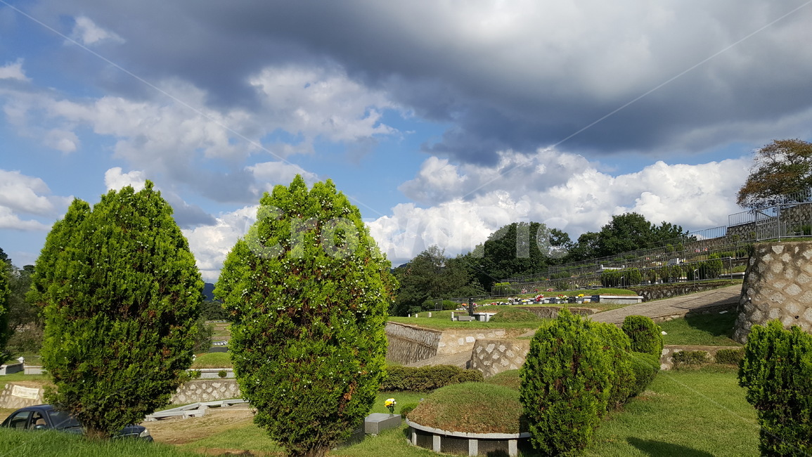 하늘,구름,먹구름,나무,자연,nature,outdoors,묘지,초가을,늦은여름