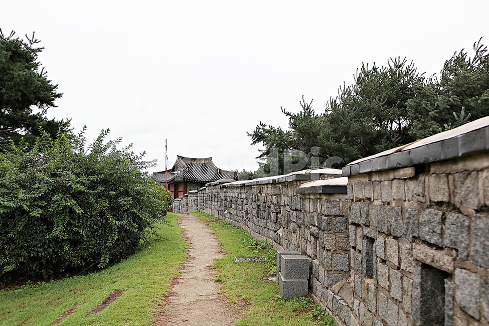 수원화성,성,성곽,길,둘레길,담,돌담,가을,자연,풍경,벽,방어벽,전통,흙담,식물,한국전통,한국문화,korean traditional,korean culture,건축물,건물외관,exterior,building,structure,architecture,construction