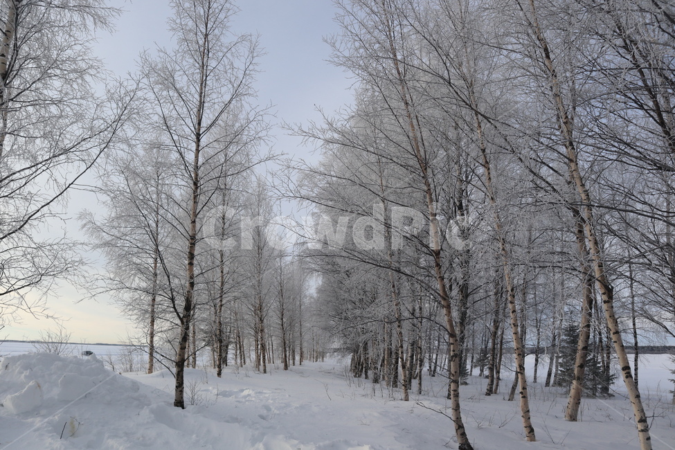 nature,자연,snow,눈,겨울,winter,풍경,겨울풍경,북극,겨울,계절,winter,season,자연,풍경,nature,landscape