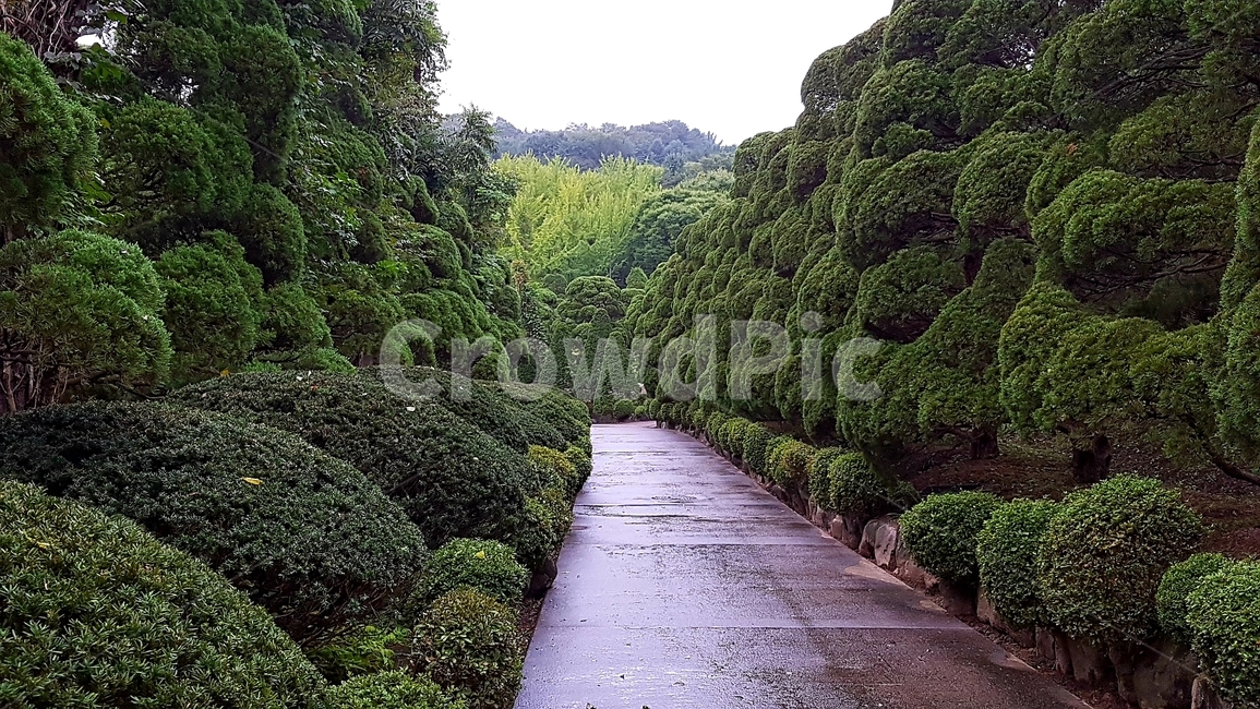 공원,산책길,산책로,베어트리파크,park,자연,풍경,nature,landscape,outdoors,옥외,plant,식물