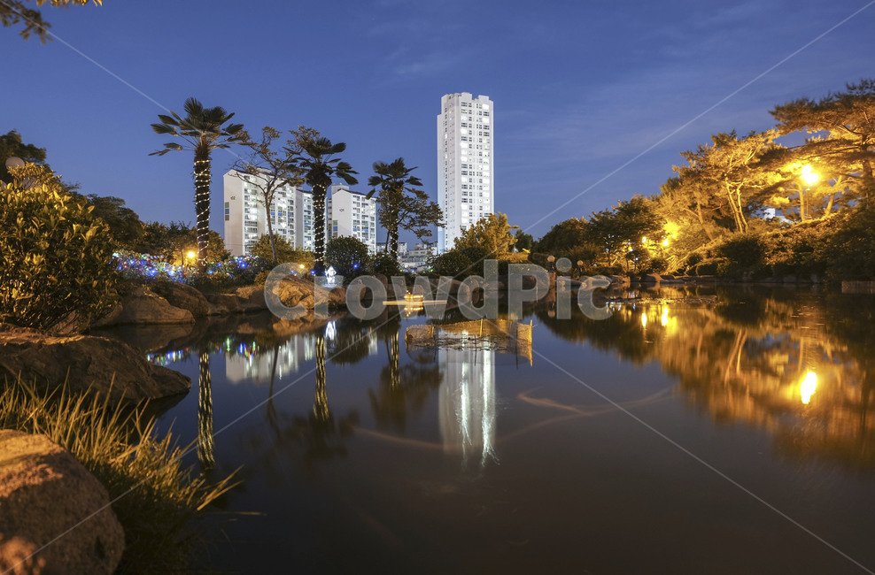풍경,야경,연못,반영,landscape,building,pond,tree,reflection,nightscape,streetlamp,가로등,장노출,city,도시
