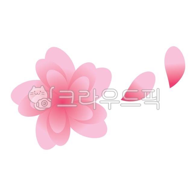 spring,pink,Cherry Blossom,petal,flower