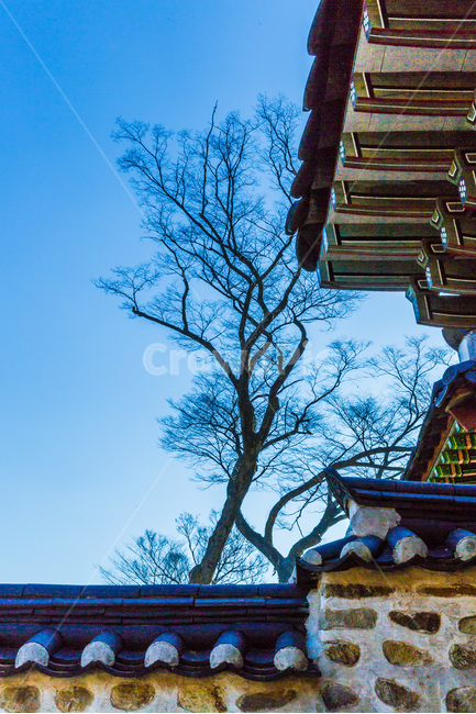 돌담,기와,문화유산,고궁,한국의미,한국전통,한국문화,korean traditional,korean culture,건축물,건물외관,exterior,building,structure,architecture,construction