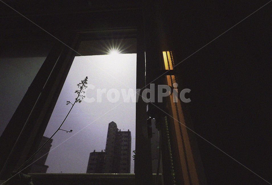 창,창문,창가,실내,윈도우,window,벽