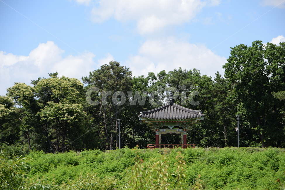 하늘,숲,정자,여름,구름,푸르름,풀,흰구름,파란하늘,무더위,바람,자연,풍경,nature,landscape,한국전통,한국문화,korean traditional,korean culture,건축물,건물외관,exterior,building,structure,architecture,construction,outdoors,옥외