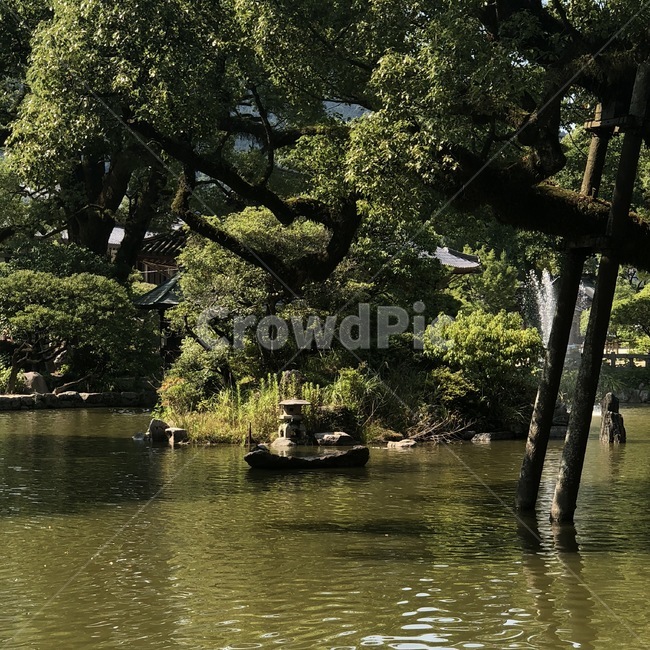 일본,후쿠오카,다자이후,나무,연못,자연