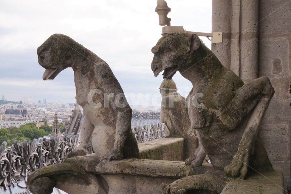 파리,노틀담대성당,가고일상,paris,notredame,gargoyles,해외,외국,세계,foreign,oversea,world,조각상,동상,석상,조형물,statue,bronze statue,stone statue