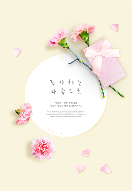 카네이션,선물상자,꽃잎,꽃,프레임,봄,꽃,flower,가족,패밀리,family,기념일,축하,anniversary,congratulation,celebrate,celebration,그래픽,일러스트레이션,graphic,illustration