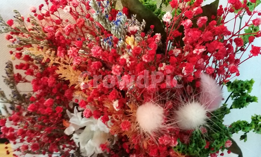 식물,꽃,flower,blossom,plant,꽃다발,꽃장식,식물,자연,plants,nature,꽃,flower