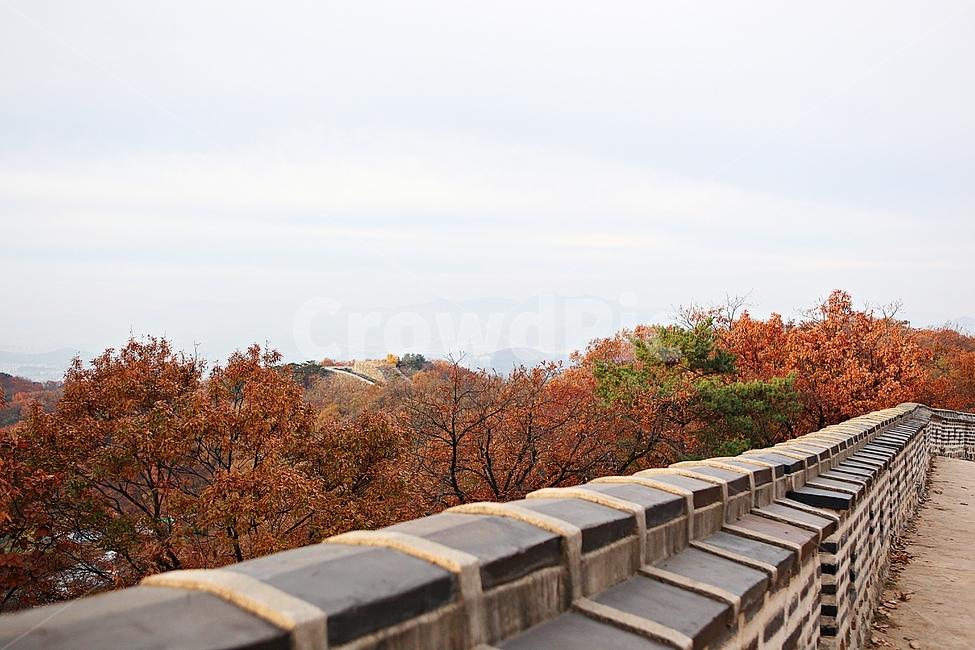 남한산성,성,성곽,단풍,낙엽,길,둘레길,숲,숲길,담,돌담,가을,자연,풍경,벽,울긋불긋,산성,식물,가을,계절,fall,autumn,season,한국전통,한국문화,korean traditional,korean culture