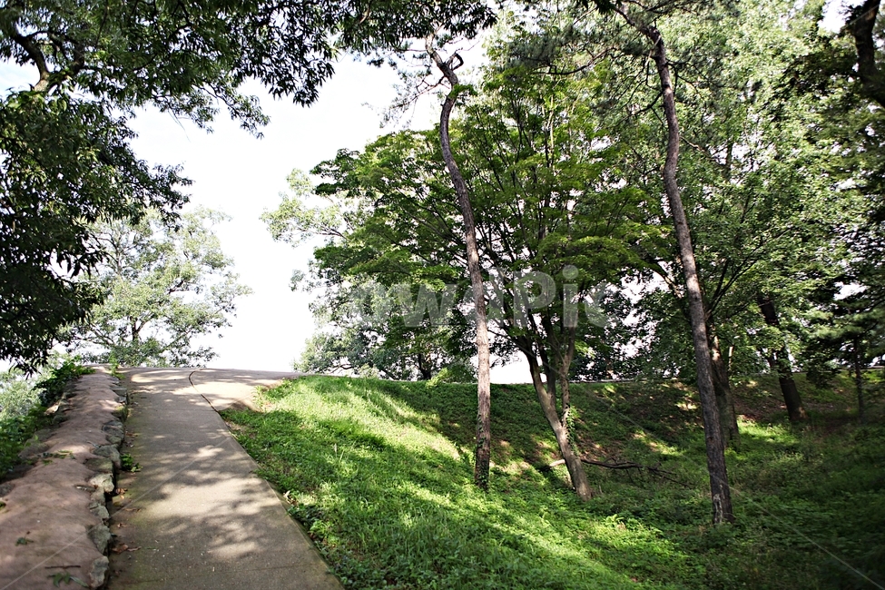공주산성,산성,성,성곽,길,둘레길,숲,숲길,안개,담,돌담,여름,풍경,흙담,나무,식물,유네스코등제